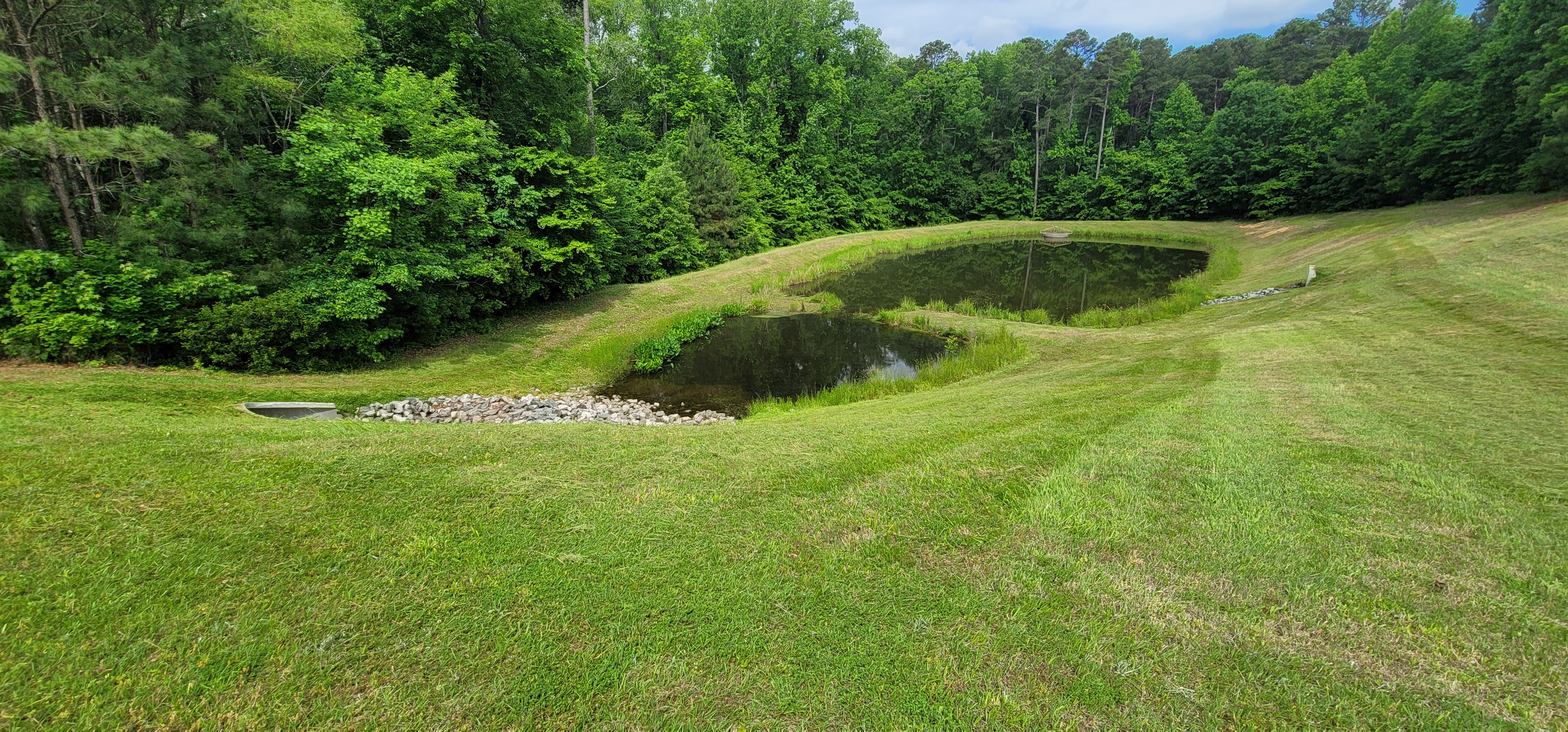 Above Ground Stormwater Assets