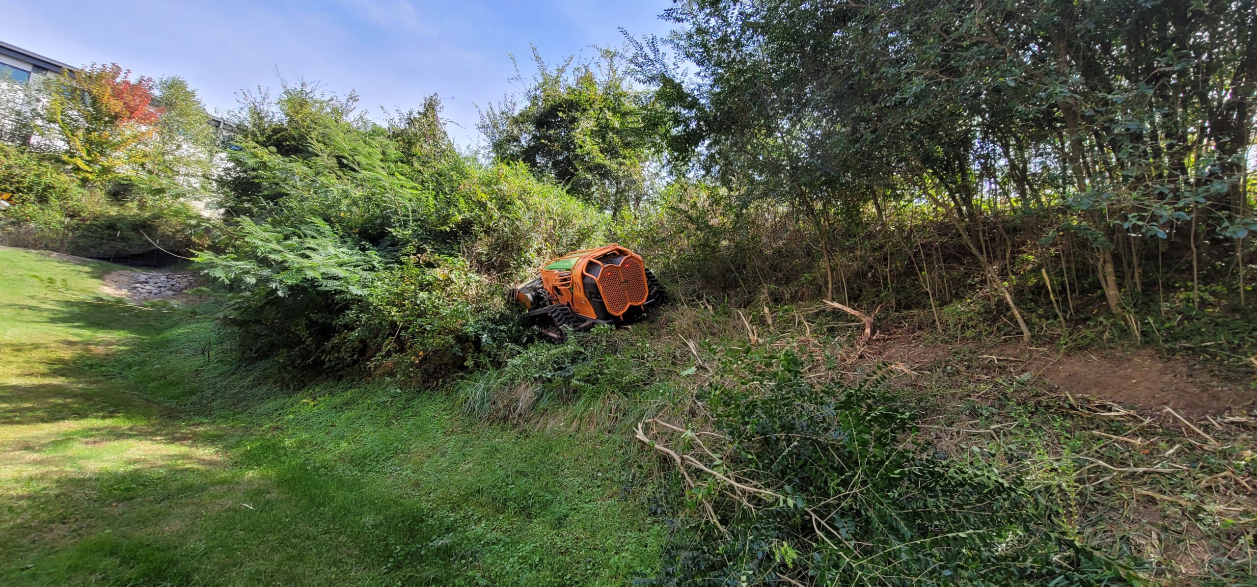 Stormwater vegetation management with mowing and invasive plant removal to maintain drainage flow.