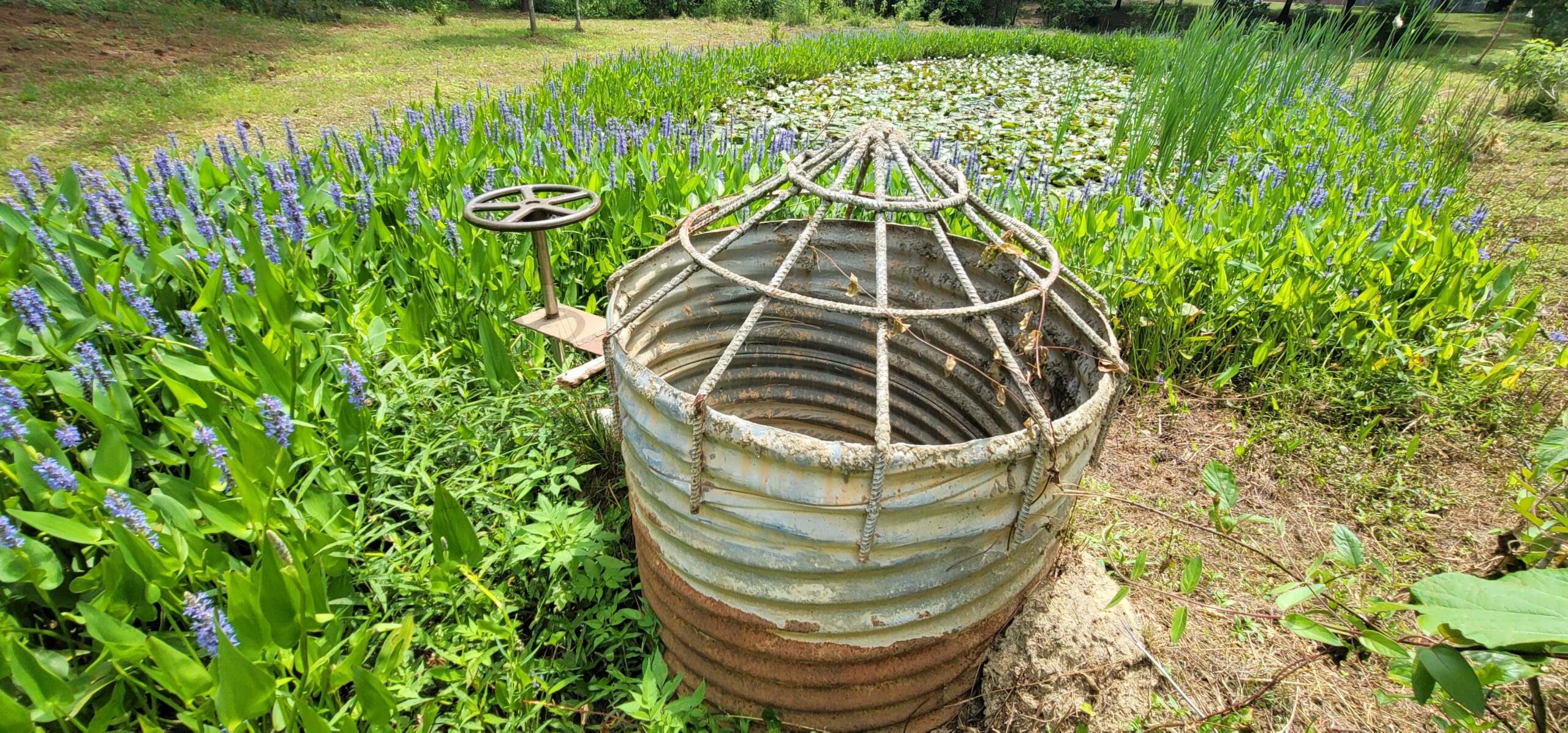 Certified stormwater inspector and Professional Engineer conducting compliance inspection of detention pond and outlet structure.