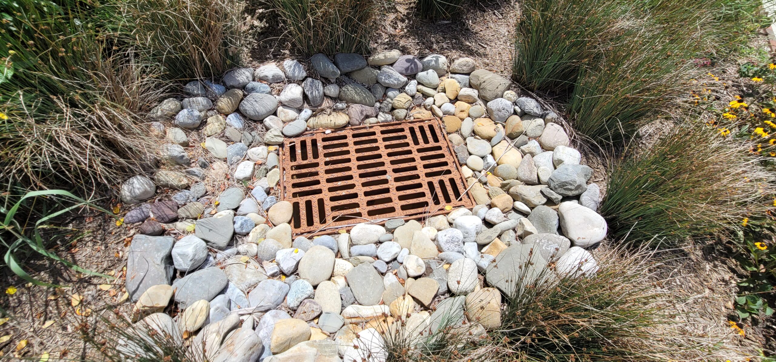 Devices intercept trash before entering waterways.