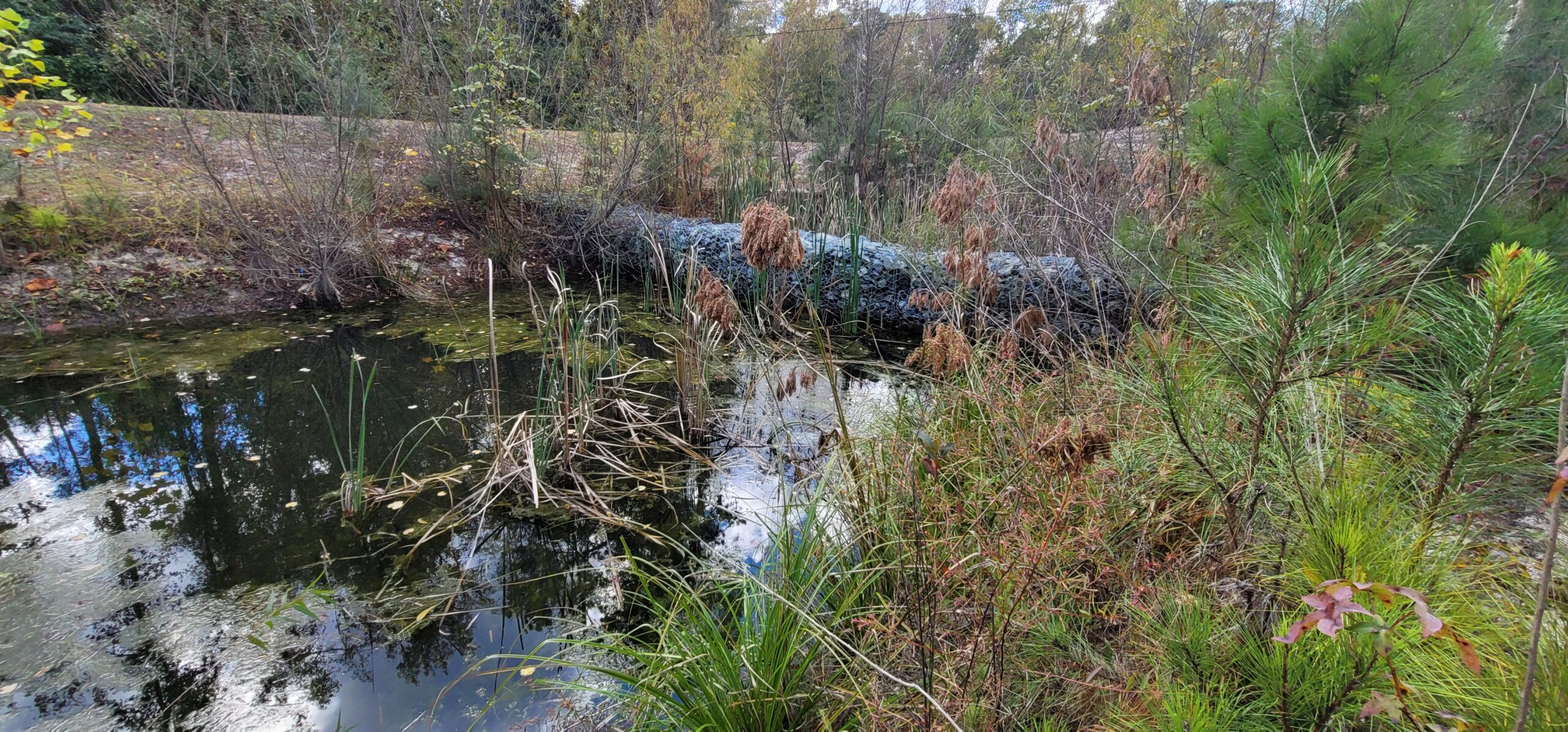 Stormwater wet pond with structural and sediment issues causing BMP failure